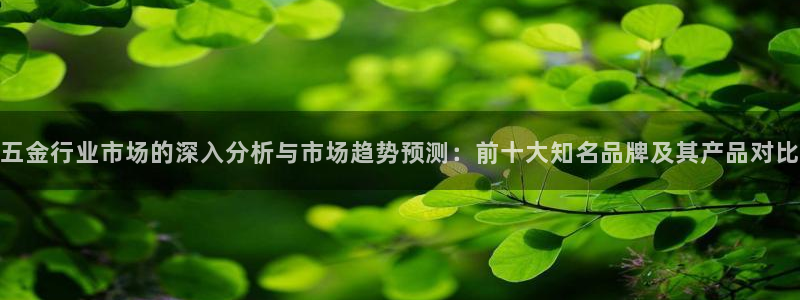 天宏娱乐小号是什么软件