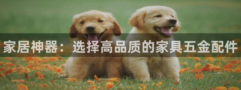 广州宏创天美娱乐文化