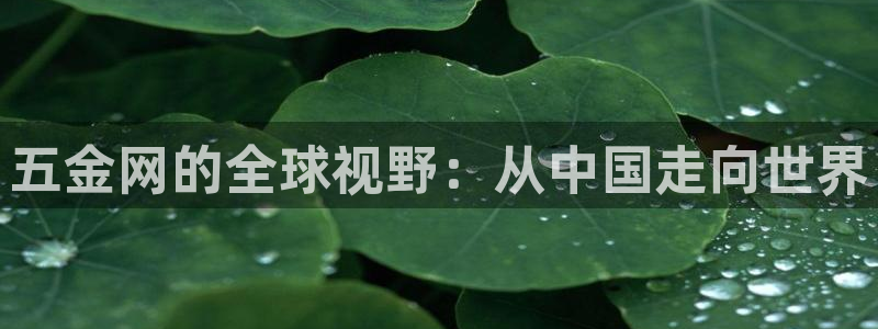 天宏娱乐 老刘