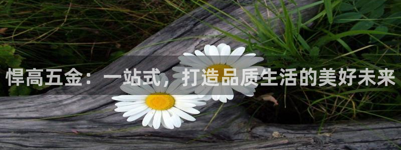 天宏娱乐地址查询
