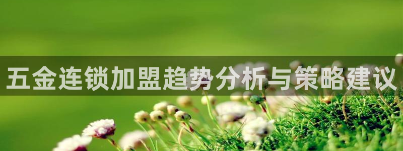 天玺娱乐彩票宏利团队