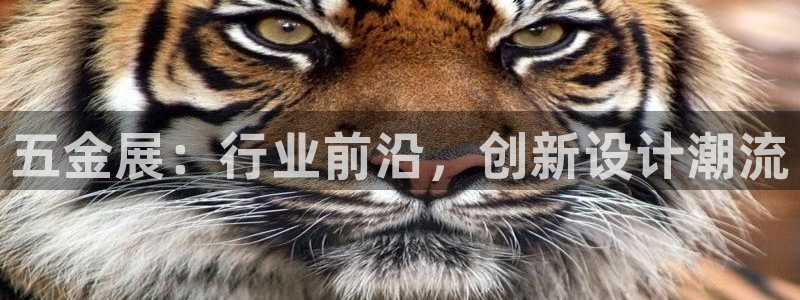 天宏娱乐君叔