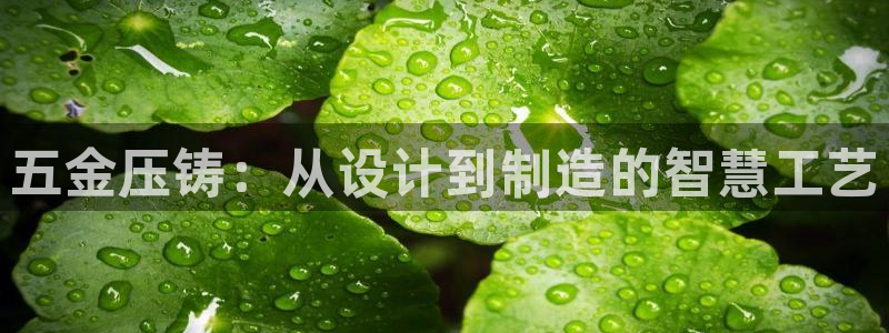 天宏娱乐平台稳么