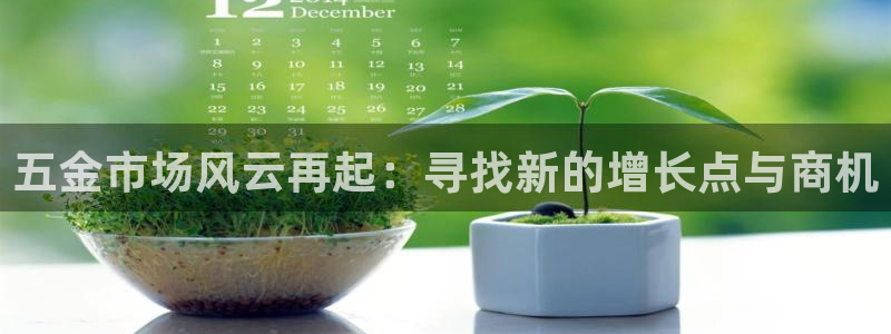 天宏娱乐星空大叔