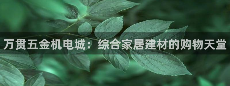 天宏娱乐总店电话