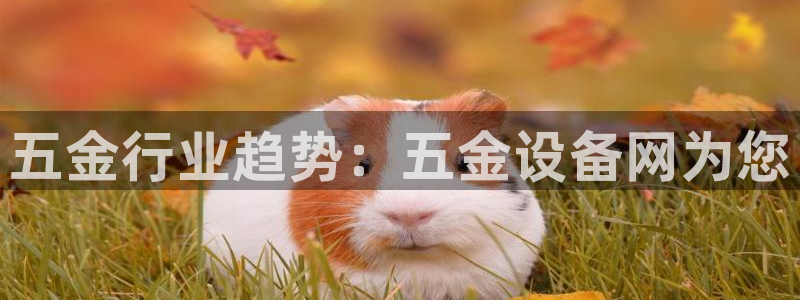 秦皇岛天宏娱乐会所地址