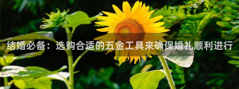 天宏娱乐管a事443593