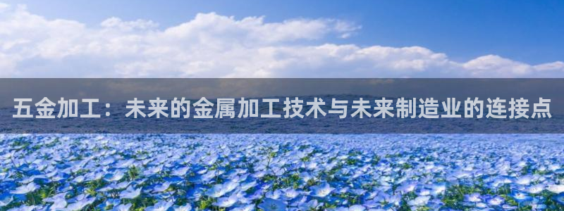 天宏娱乐涛叔