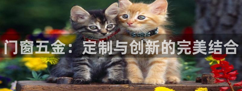 天宏娱乐李剑