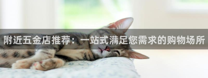 天宏娱乐直播直播间