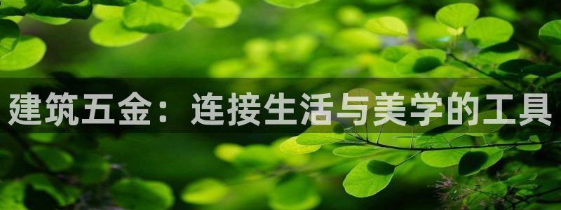 天宏2娱乐平台