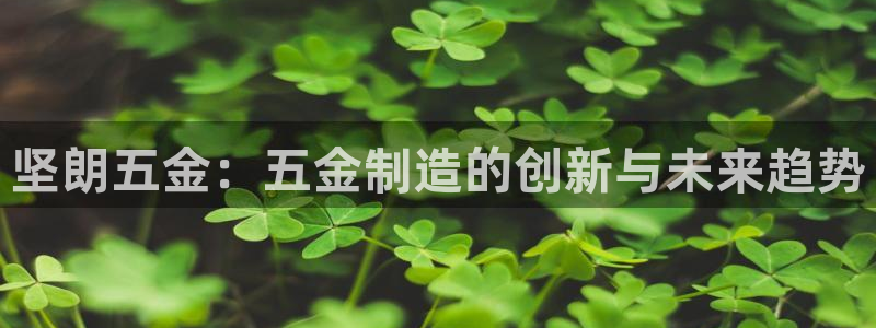 天宏娱乐最新更新