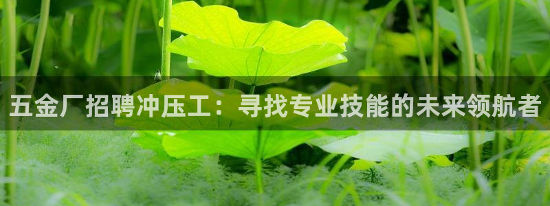 天宏娱乐 22376