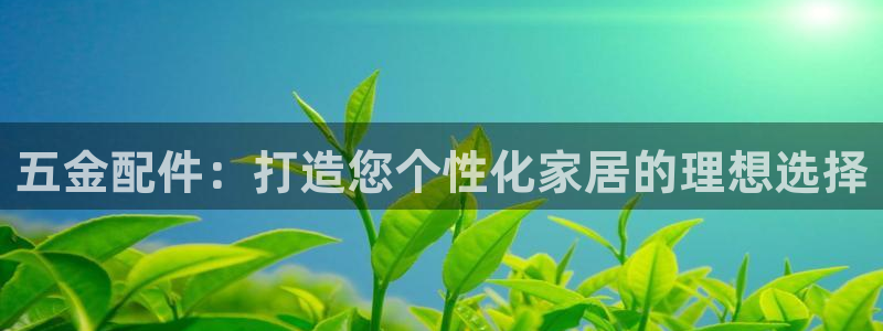 天宏娱乐吴叔