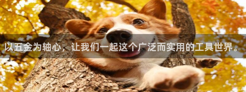 天宏娱乐下载