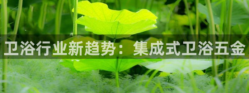天宏娱乐有明星么