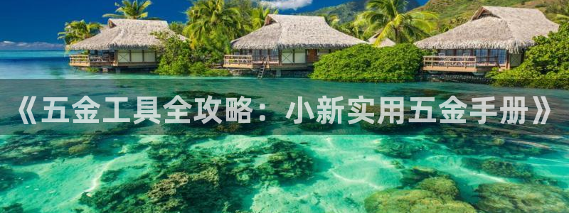 天宏娱乐直播直播间