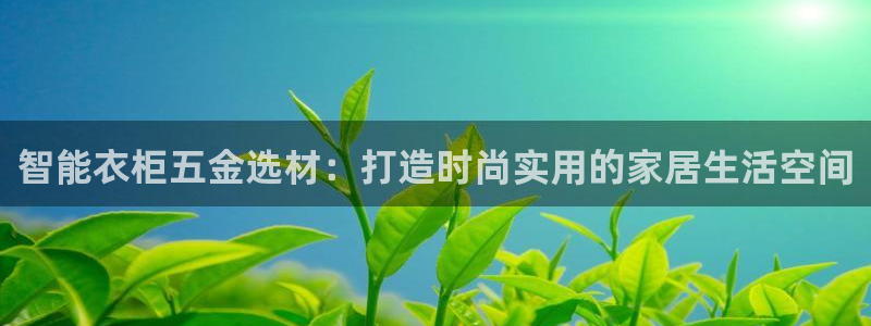 快手天宏娱乐是什么
