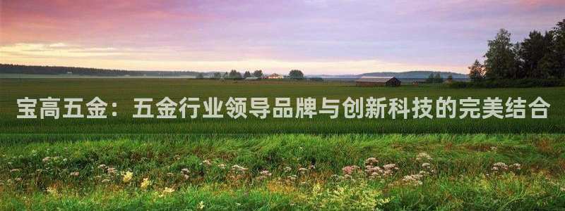 天宏娱乐宝叔