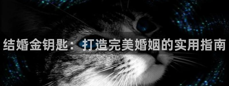 天宏娱乐app