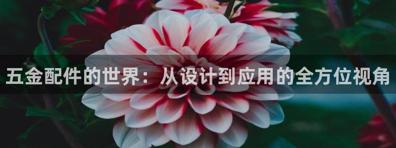 天宏娱乐石叔简介
