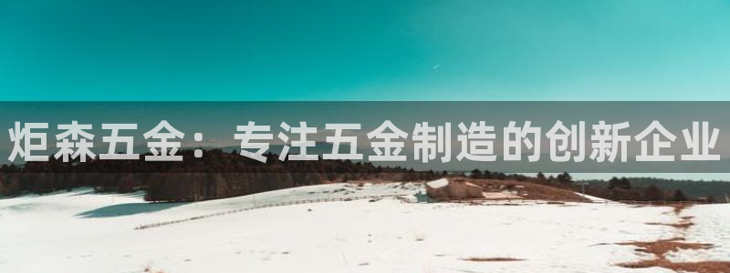 天亿娱乐宏发团队成员