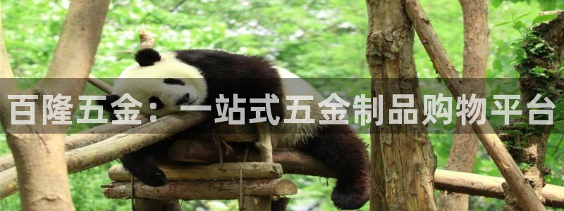 天宏娱乐大叔