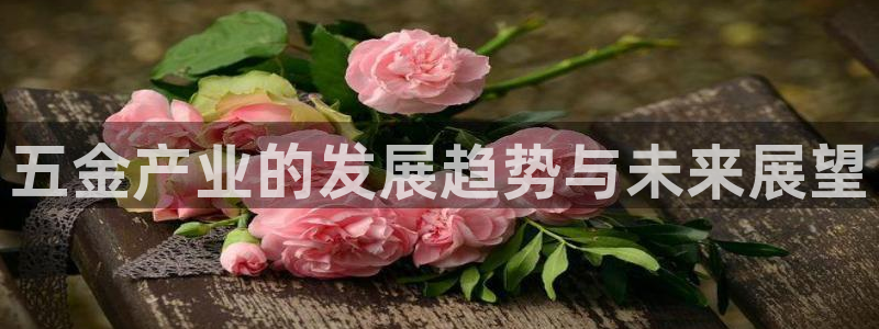 天宏娱乐直播怎么样