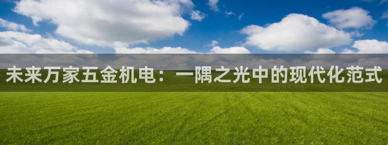 天宏娱乐大叔