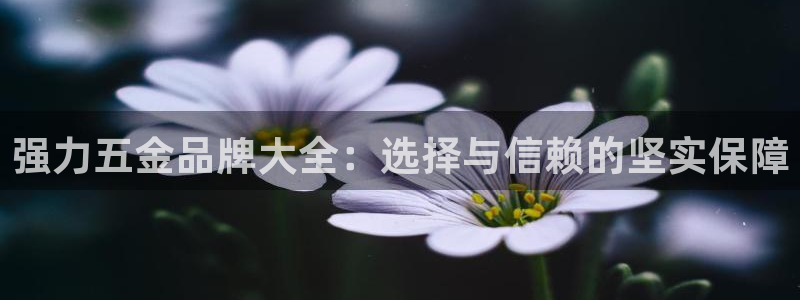 天宏娱乐老板朱俊伟