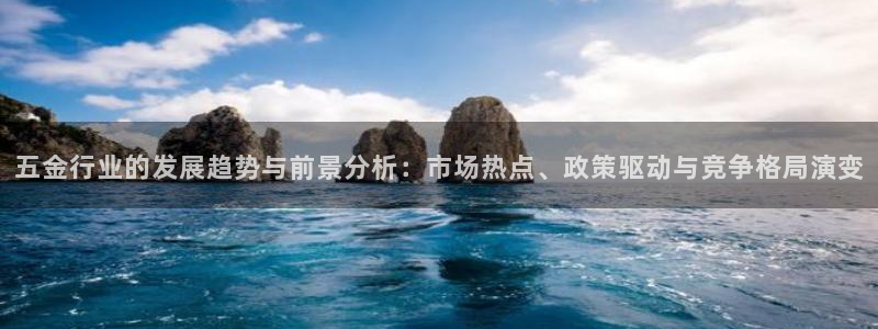 天宏娱乐金叔