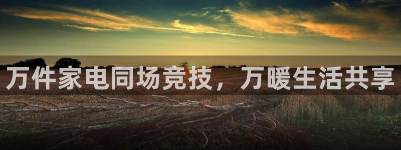 天宏娱乐指尖自
