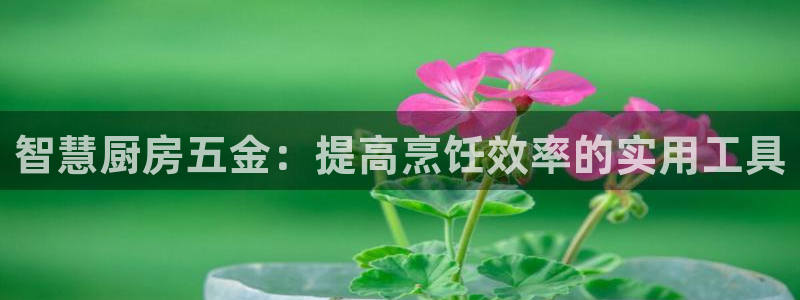 天宏娱乐是干嘛的公司