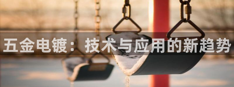 扬州天宏娱乐公司