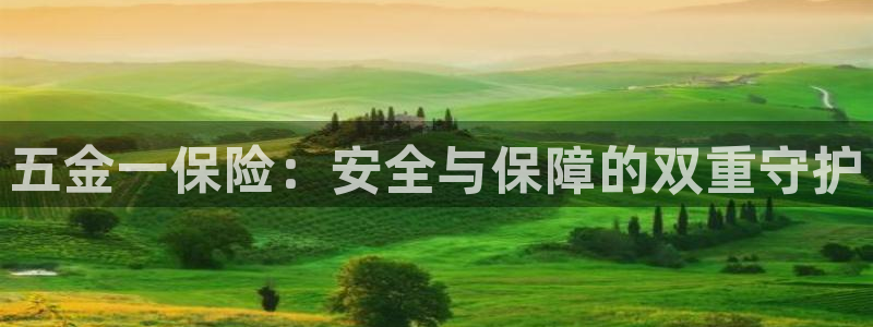 天宏娱乐季叔