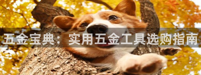 天宏娱乐 福星平台