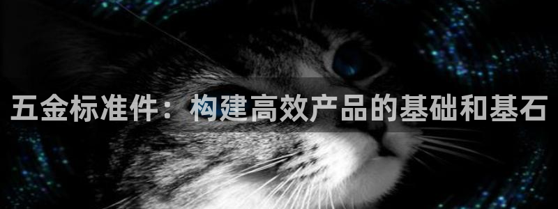 天宏娱乐石叔简介图片