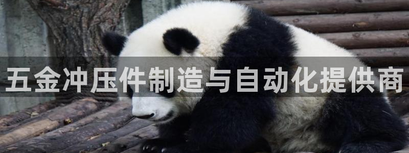 天宏娱乐小号怎么玩的