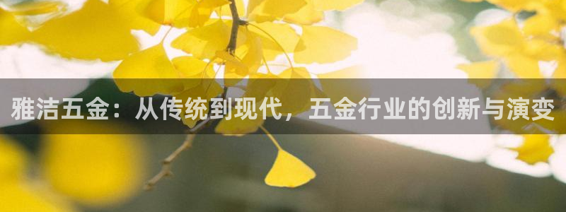 裕宏娱乐林天俊简介