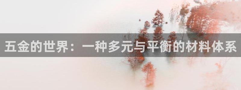 天宏集团黑骑士娱乐