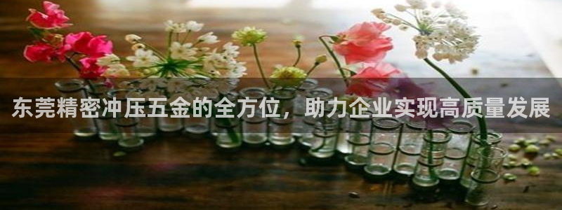 天宏娱乐男孩