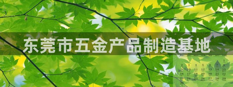 天宏娱乐豆豆团