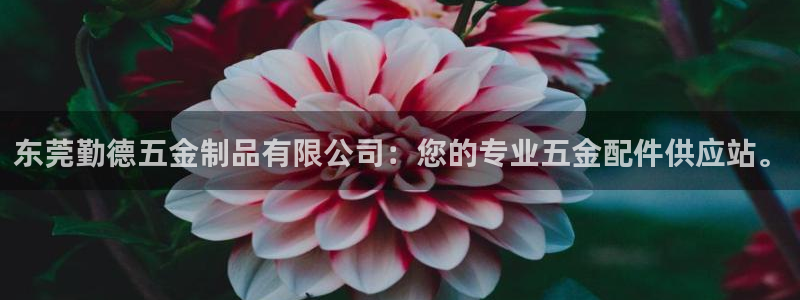 天宏娱乐男孩