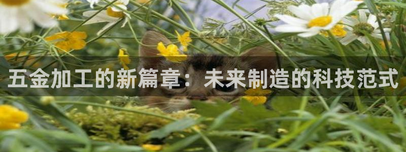 天宏娱乐团购