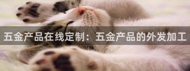 天宏娱乐app下载