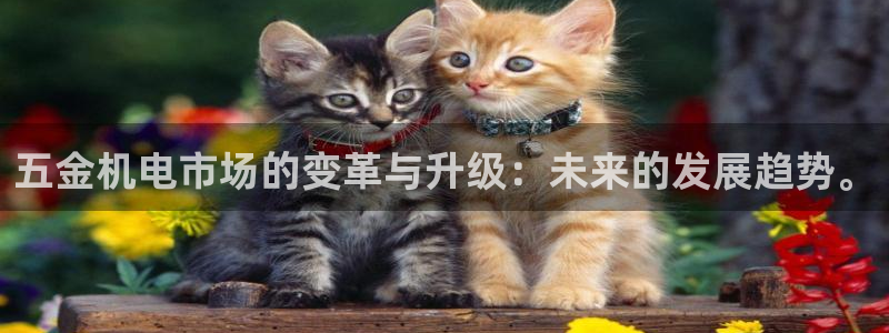 天鲸正宏娱乐是什么