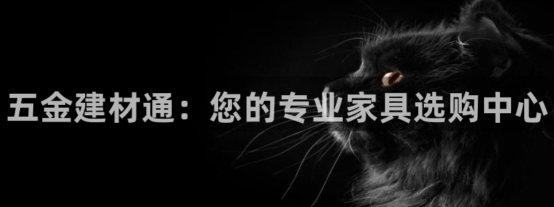 天宏娱乐大叔团唱歌