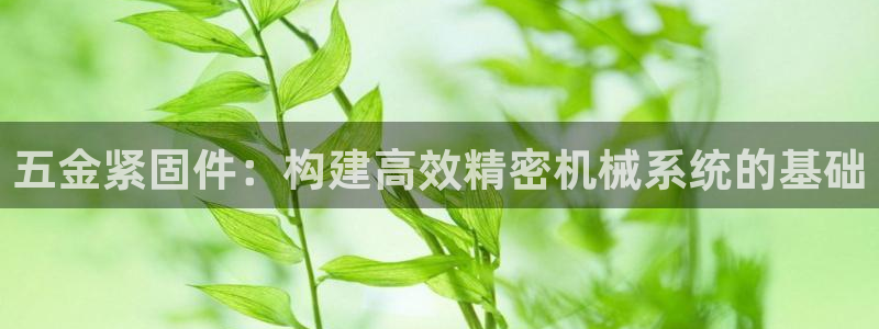 天宏娱乐小号官网下载